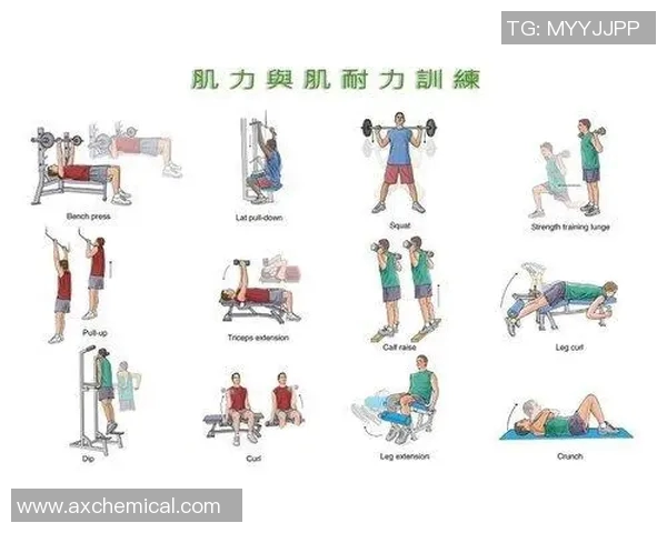 英超乒乓球巨献揭秘广州乒乓球队的耐力与训练秘诀