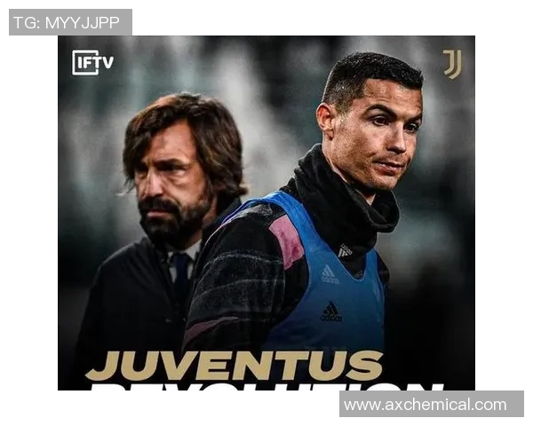 英超热议网球上海网球队如何通过团队协作实现全面变革与提升