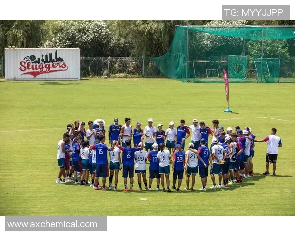 南京飞盘队运动飞盘战术控制体系的探索与实践分析 南京飞盘队运动飞盘战术控制体系的探索与实践分析