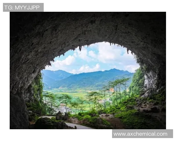 探秘武汉攀岩队的防反策略与运动攀岩的深度结合