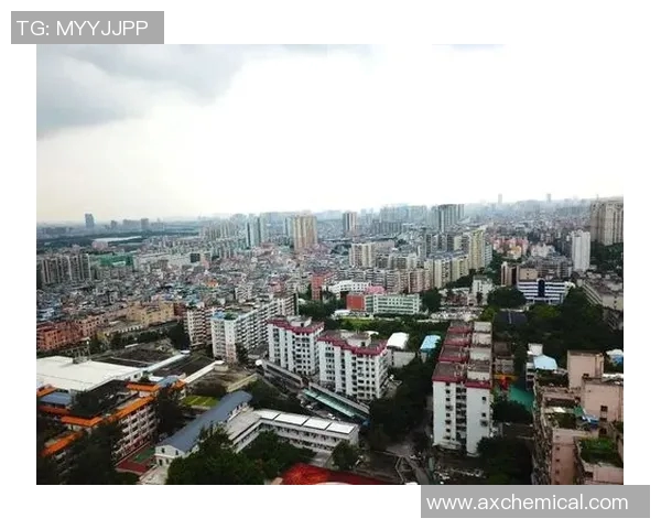 英超重磅专题探讨广州排球队控制革新与战术提升之路