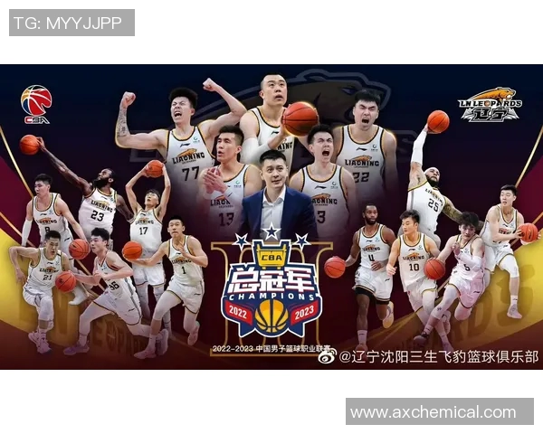 体育实时数据权威发布篮球力量实力榜单揭示各队真实竞争力与潜力分析