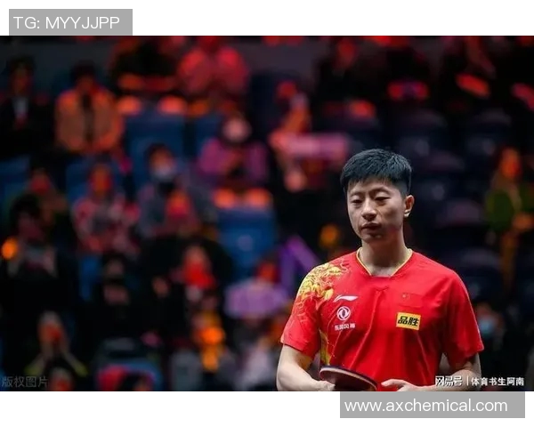 实时新闻南京排球队中路突破分析优势与不足的全面探讨 实时新闻南京排球队中路突破分析优势与不足的全面探讨