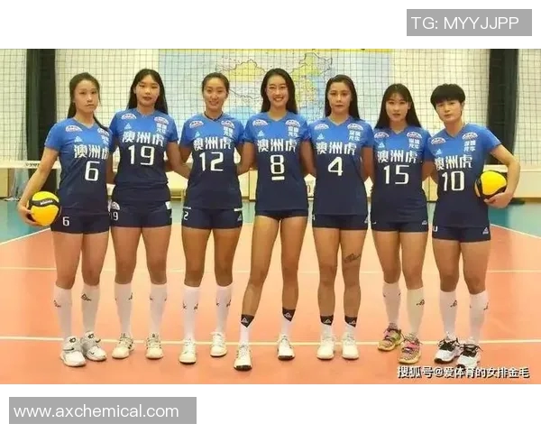实时新闻深圳排球队实力强劲荣登全国排球实力排行榜第四名